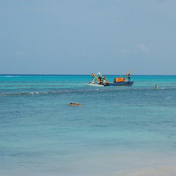 DSC_3349 DSC_3349