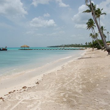 DSC_3354 DSC_3354