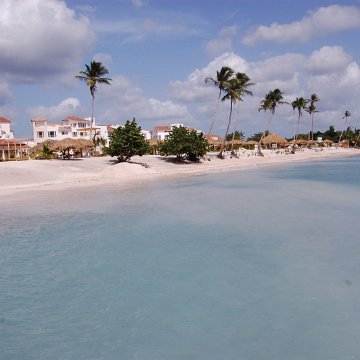 DSC_3357 DSC_3357