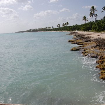 DSC_3491 DSC_3491