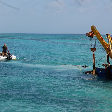 DSC_3509 DSC_3509