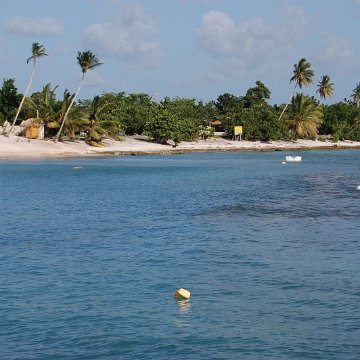 DSC_3516 DSC_3516