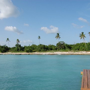 DSC_3519 DSC_3519