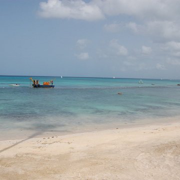 DSC_3583 DSC_3583