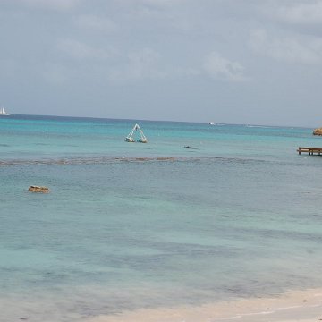 DSC_3584 DSC_3584