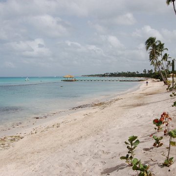 DSC_3591 DSC_3591