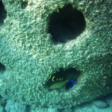 P7090081 P7090081