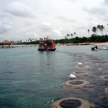 P7110086 P7110086