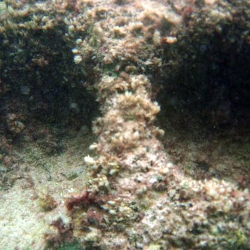P7110089 P7110089