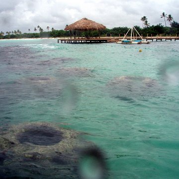 P7110099 P7110099