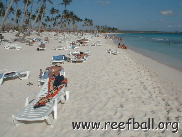 PIC00017