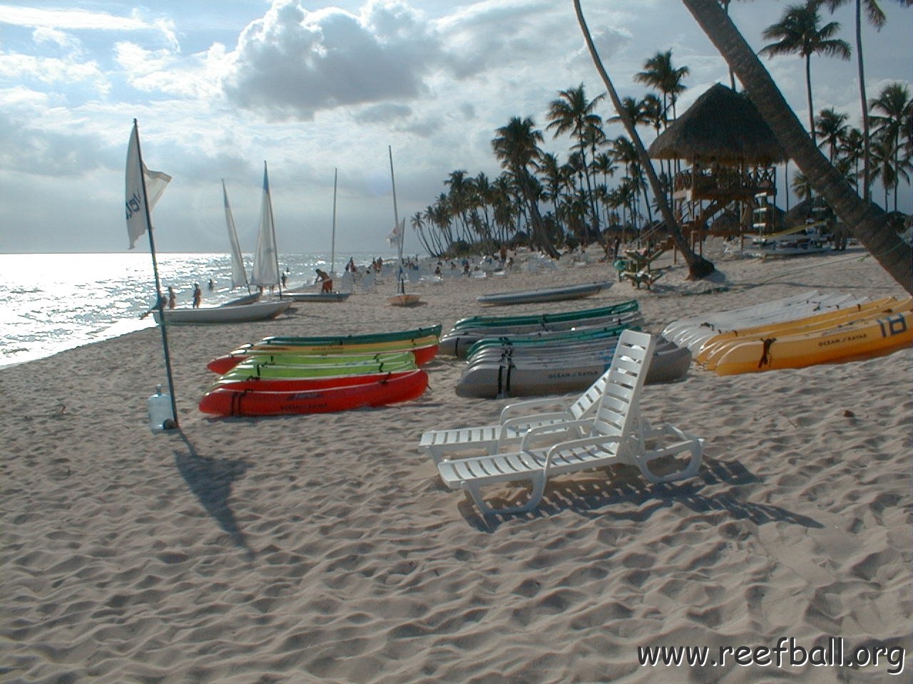 PIC00008