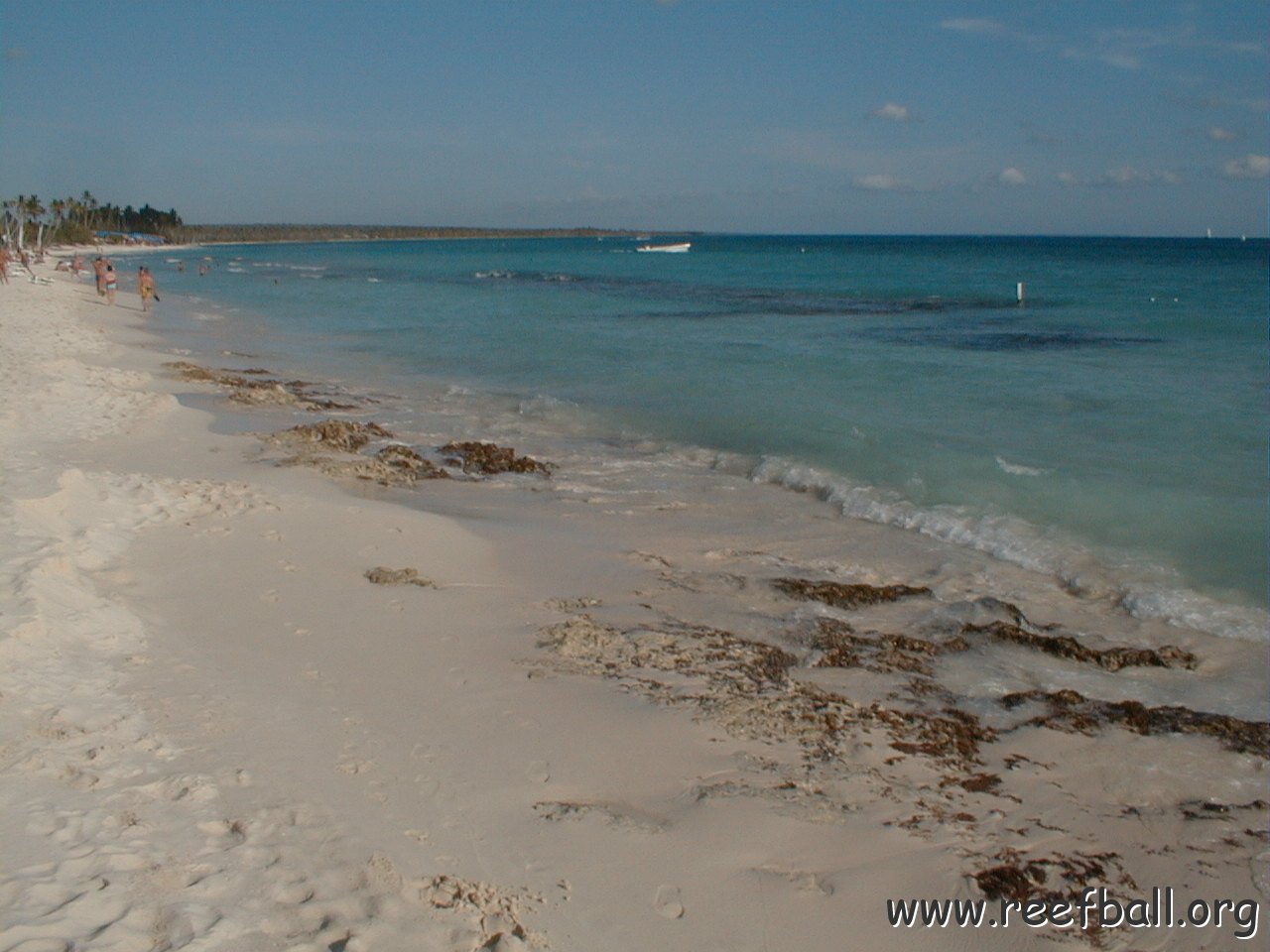 PIC00019
