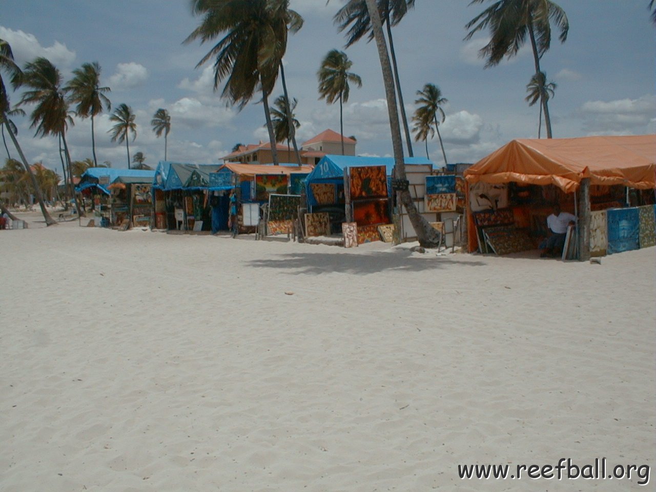 PIC00012