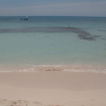 PIC00003 PIC00003