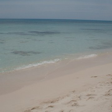 PIC00004 PIC00004