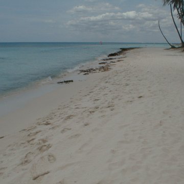 PIC00005 PIC00005