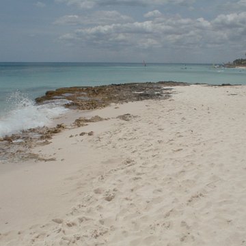 PIC00007 PIC00007
