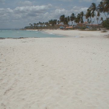 PIC00008 PIC00008
