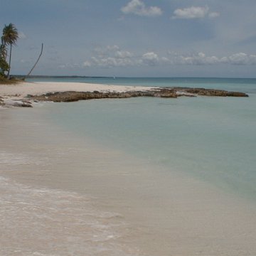 PIC00009 PIC00009