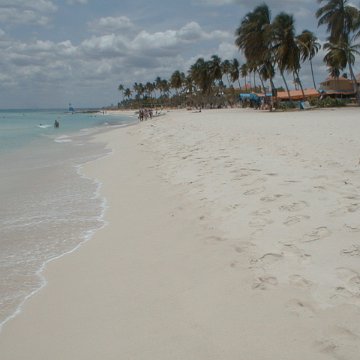 PIC00010 PIC00010
