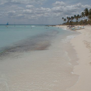 PIC00011 PIC00011