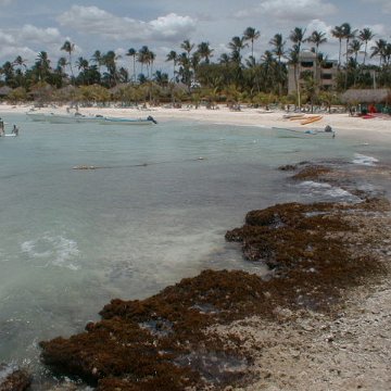 PIC00019 PIC00019