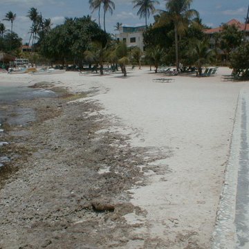 PIC00020 PIC00020