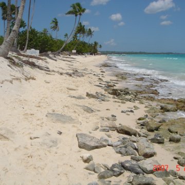 DR 2007May 028