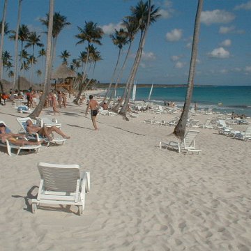 pic00011 pic00011