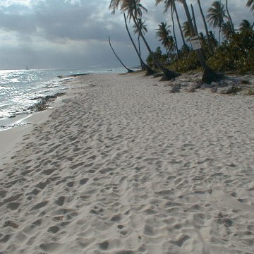 pic00016 pic00016