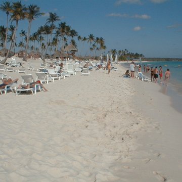 pic00021 pic00021