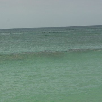 dsc00186