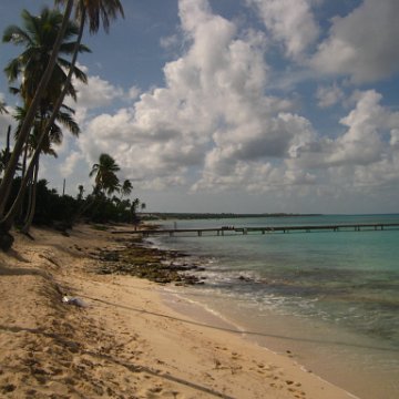 IMG_2404 IMG_2404
