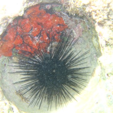 IMG_2407 IMG_2407