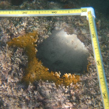 IMG_2412 IMG_2412