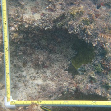 IMG_2413 IMG_2413