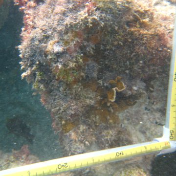 IMG_2414 IMG_2414