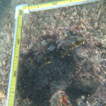 IMG_2415 IMG_2415