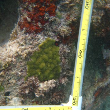 IMG_2418 IMG_2418