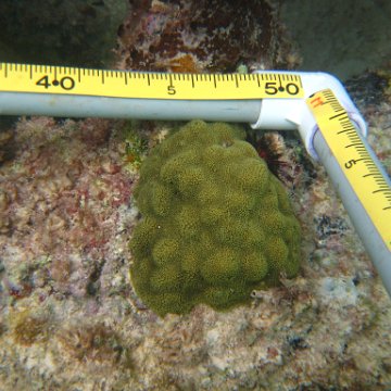 IMG_2419 IMG_2419