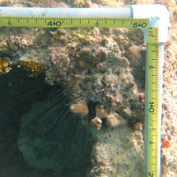 IMG_2420 IMG_2420