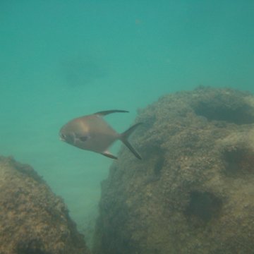 IMG_2422 IMG_2422