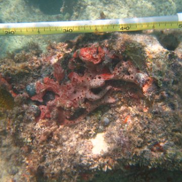 IMG_2424 IMG_2424
