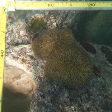 IMG_2428 IMG_2428