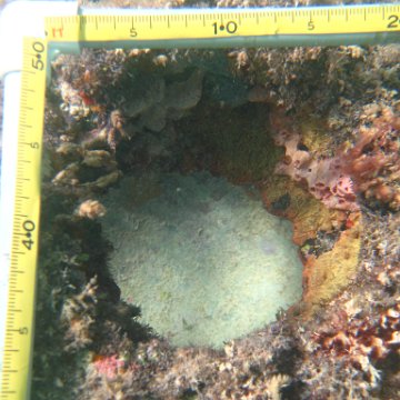 IMG_2429 IMG_2429