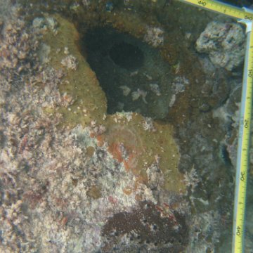 IMG_2430 IMG_2430