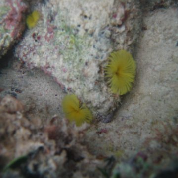 IMG_2434 IMG_2434