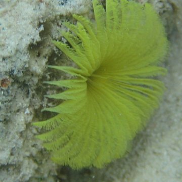 IMG_2437 IMG_2437