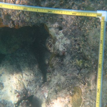 IMG_2442 IMG_2442